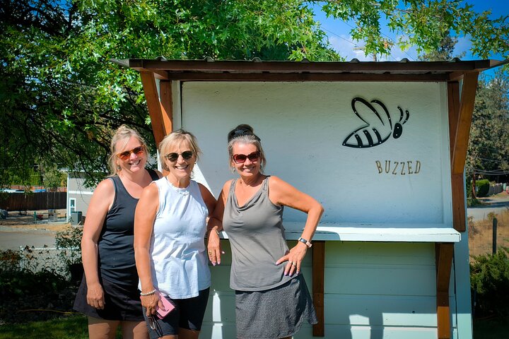 Visite du vin de Kelowna en vélo électrique avec dégustations, déjeuner et vue sur l'Okanagan