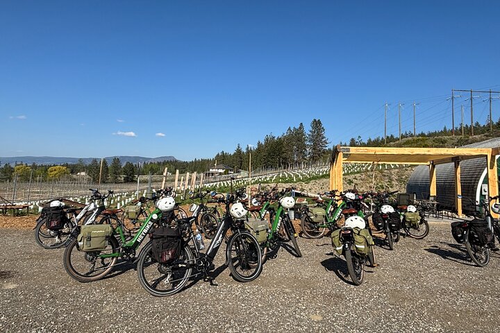 Visite du vin de Kelowna en vélo électrique avec dégustations, déjeuner et vue sur l'Okanagan