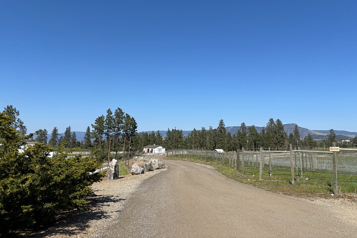 Visite du vin de Kelowna en vélo électrique avec dégustations, déjeuner et vue sur l'Okanagan