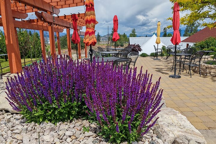 Visite du vin de Kelowna en vélo électrique avec dégustations, déjeuner et vue sur l'Okanagan