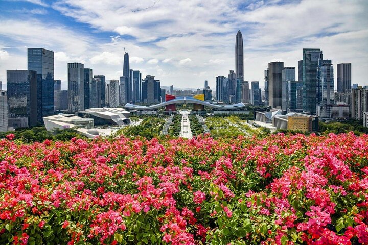 Visite privée d'une journée à Shenzhen avec service de voiture Tech + Culture + Shopping