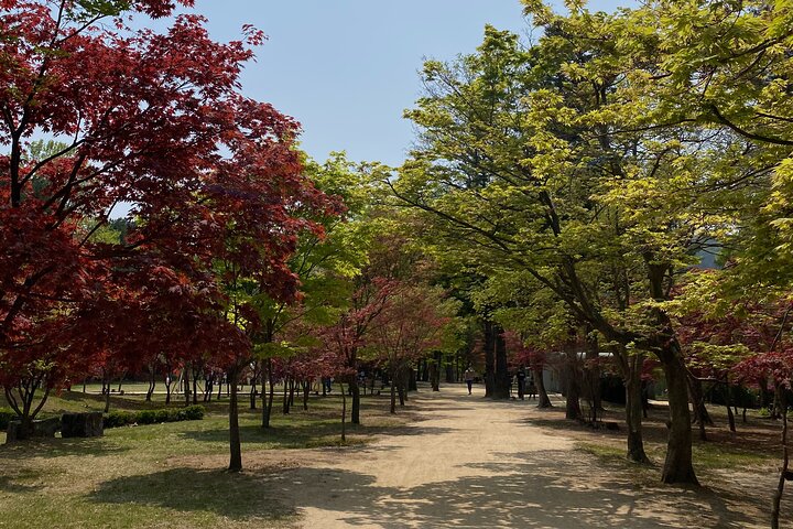 [Private Tour] Nami Island+Morgens ruhig Garten+Petite Frankreich