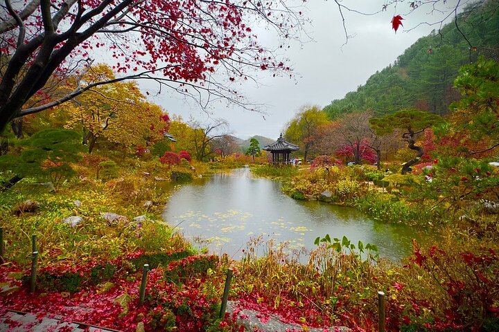 [Private Tour] Nami Island+Morgens ruhig Garten+Petite Frankreich