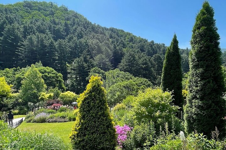 [Private Tour] Nami Island+Morgens ruhig Garten+Petite Frankreich