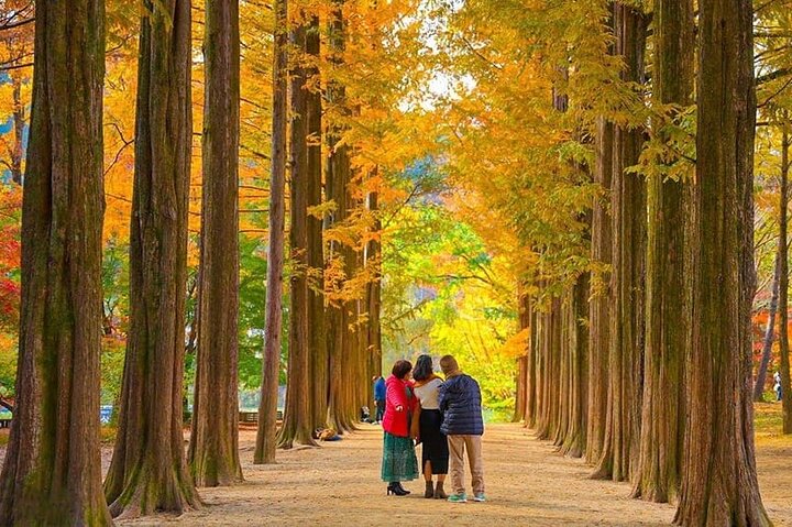 [Private Tour] Nami Island+Morgens ruhig Garten+Petite Frankreich