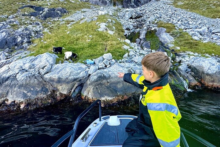 Restauranter i nærheden af Lysefjord Safari on Speedboat
