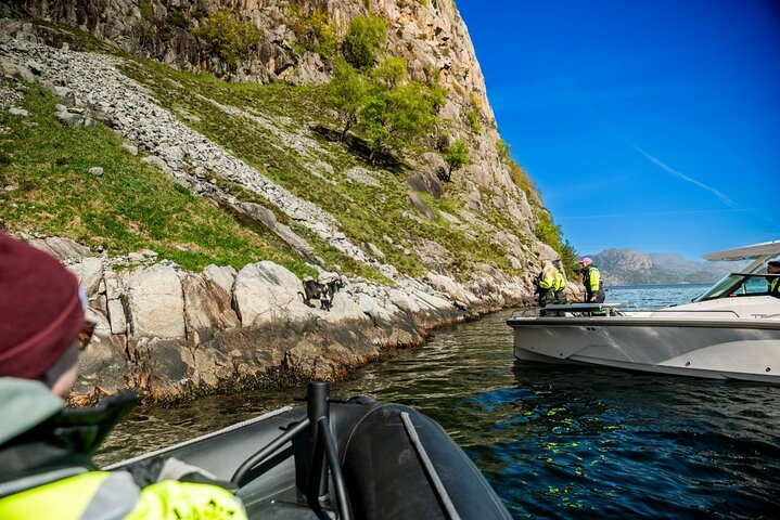 Restauranter i nærheden af Lysefjord Safari on Speedboat