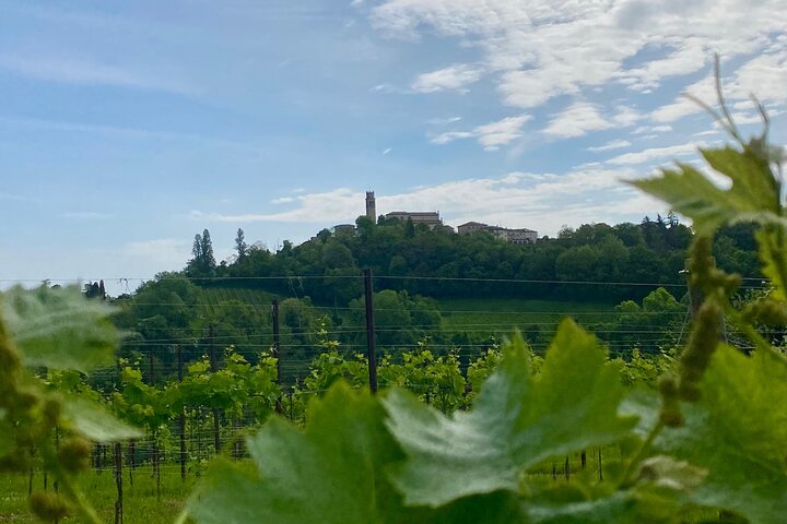 Tour privado todo incluido a Prosecco Hills - 2 bodegas y almuerzo.