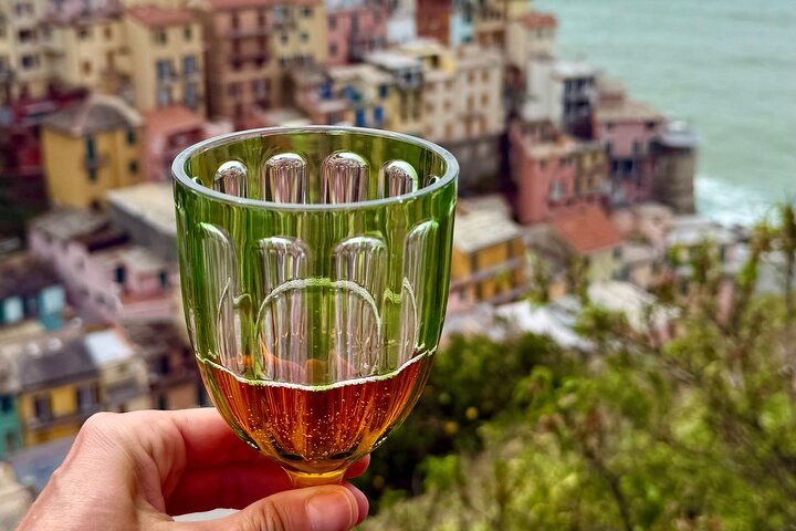 Cinque Terre privat oplevelse