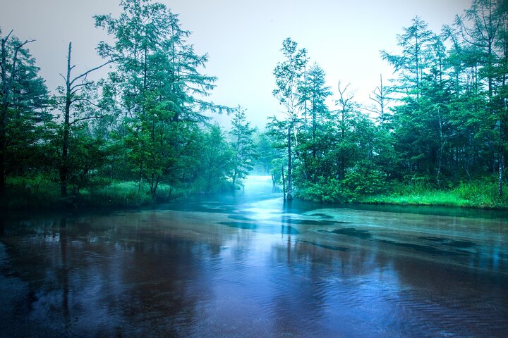Kamikochi & Castello di Matsumoto: Una perfetta giornata Natura & Patrimonio