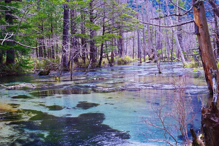 Kamikochi & Castello di Matsumoto: Una perfetta giornata Natura & Patrimonio