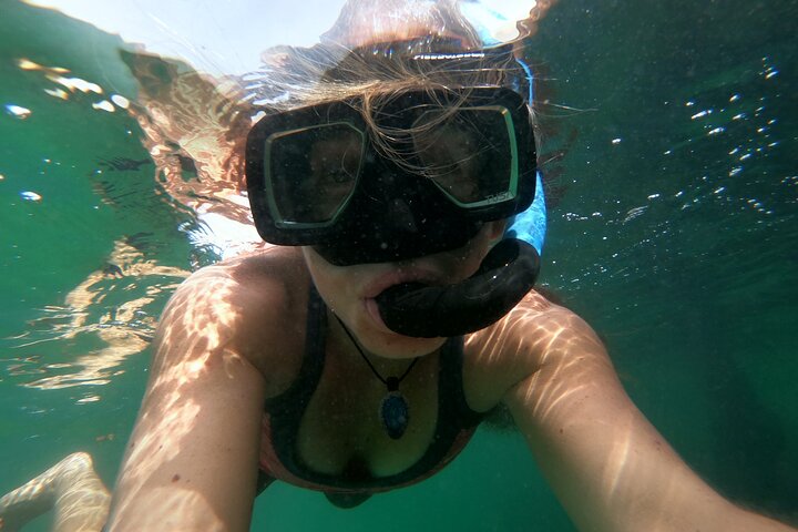 Eine Bocas Mangrove Kajak & Riff Schnorchel Eco Tour
