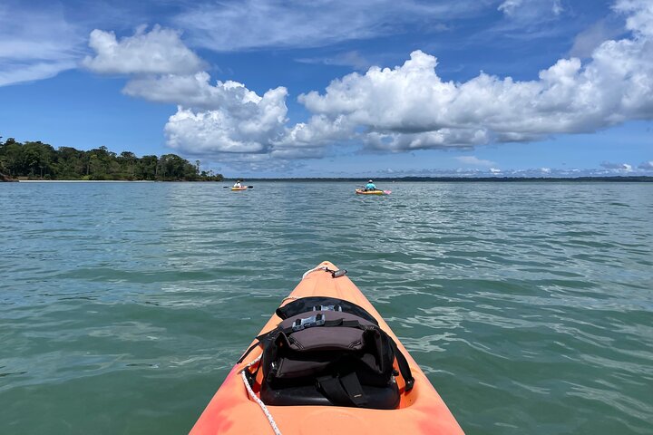 Eine Bocas Mangrove Kajak & Riff Schnorchel Eco Tour