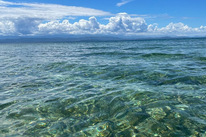 Eine Bocas Mangrove Kajak & Riff Schnorchel Eco Tour