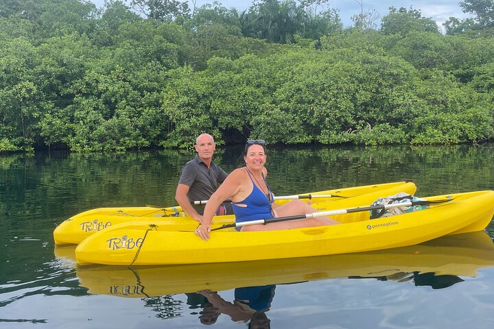 Eine Bocas Mangrove Kajak & Riff Schnorchel Eco Tour