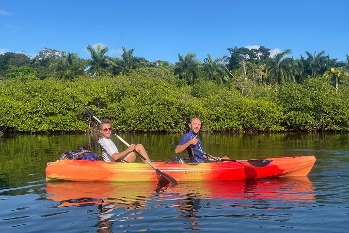 Eine Bocas Mangrove Kajak & Riff Schnorchel Eco Tour