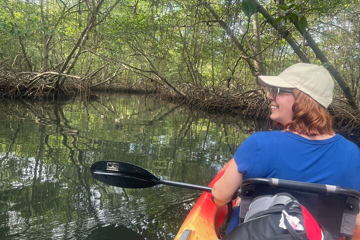 Eine Bocas Mangrove Kajak & Riff Schnorchel Eco Tour