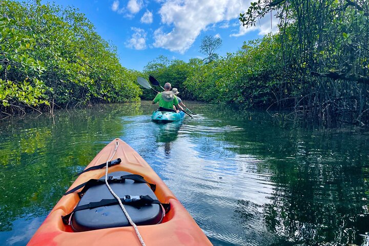 Eine Bocas Mangrove Kajak & Riff Schnorchel Eco Tour