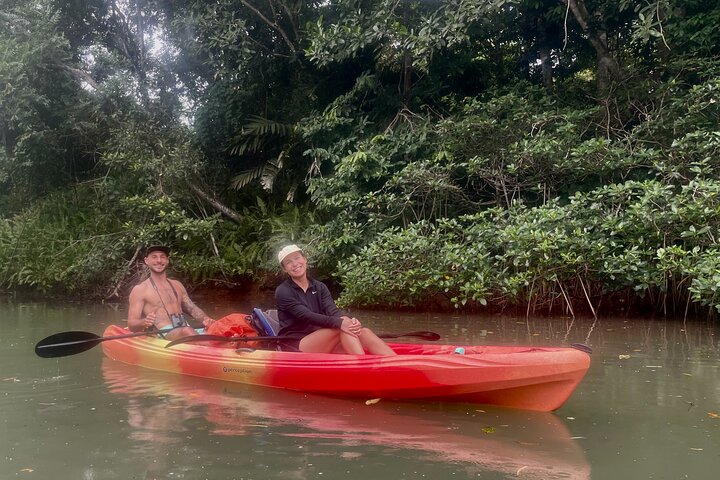 Eine Bocas Mangrove Kajak & Riff Schnorchel Eco Tour
