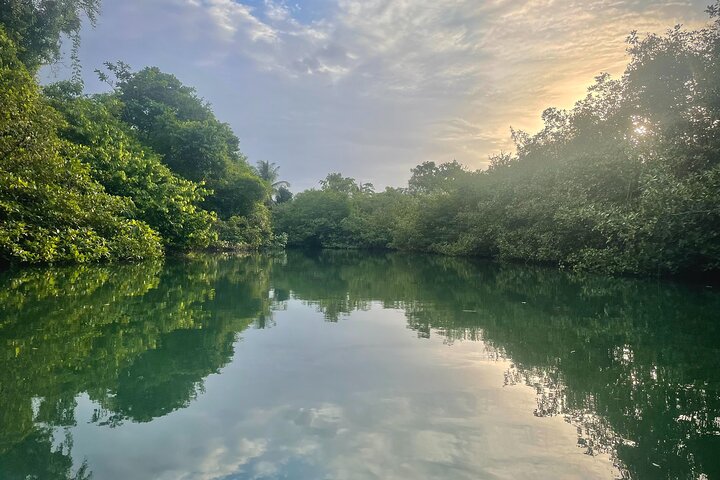Eine Bocas Mangrove Kajak & Riff Schnorchel Eco Tour