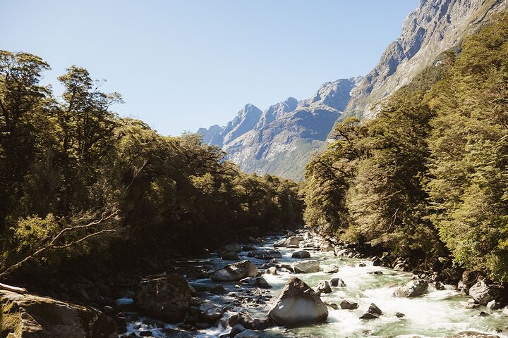 Prisvindende Milford Sound Full Day Tour & Cruise fra Te Anau