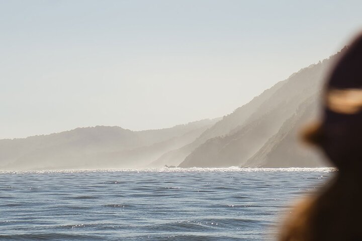 Prisvindende Milford Sound Full Day Tour & Cruise fra Te Anau