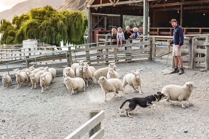 Queenstown Lake Cruise und Walter Peak Farm Abenteuer