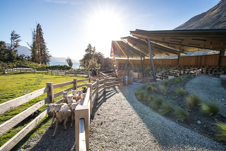 Queenstown Lake Cruise und Walter Peak Farm Abenteuer