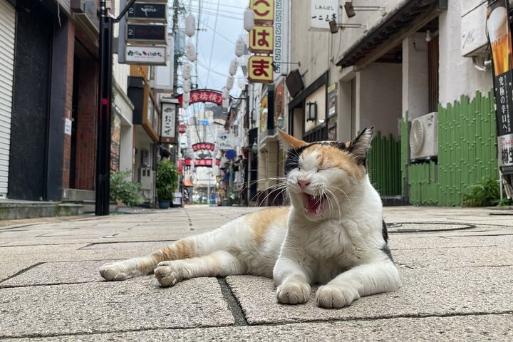 Nagasaki Private Tour med en lokal: Fred, mat og skjulte edelstener