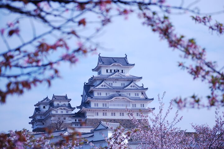 Explora Castillo de Himeji: visita guiada a pie