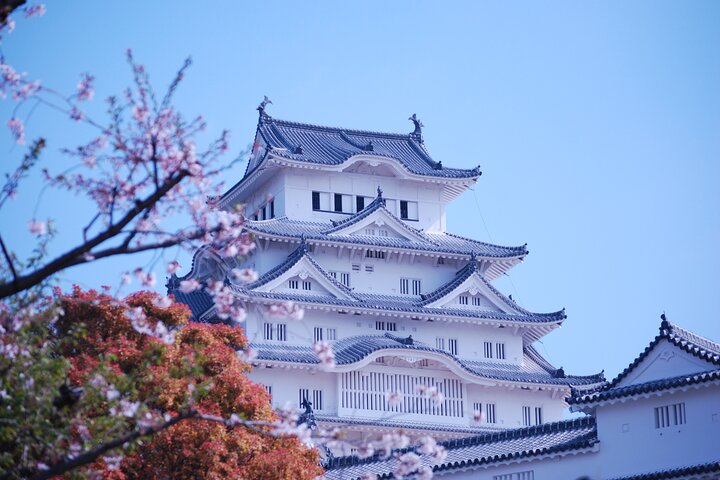 Explora Castillo de Himeji: visita guiada a pie