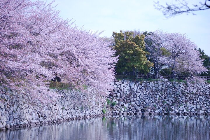 Explora Castillo de Himeji: visita guiada a pie