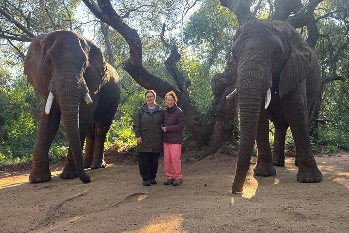 Tour zum Elefanten- und Affenschutzgebiet ab Johannesburg