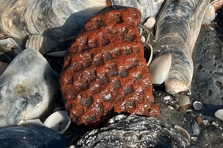 Barrier Island Drop-Off Fossil Jagd Abenteuer!