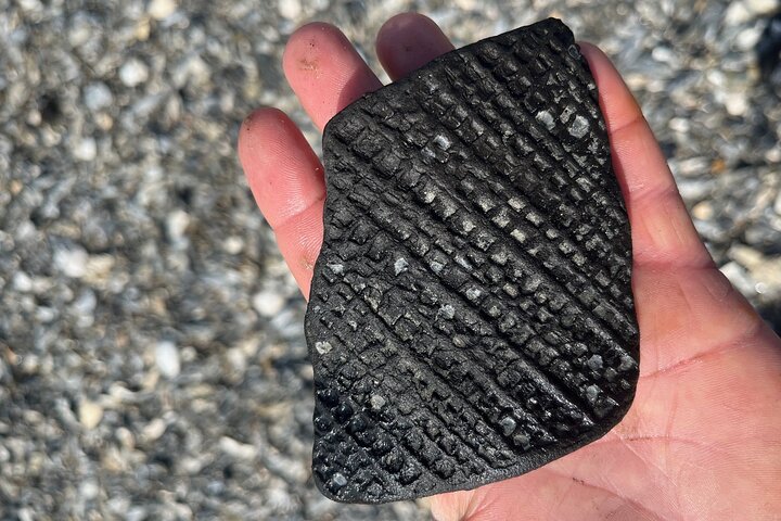 Barrier Island Drop-Off Fossil Jagd Abenteuer!