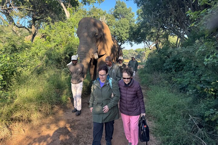 Tour zum Elefantenschutzgebiet ab Johannesburg