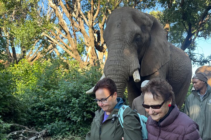 Tour zum Elefantenschutzgebiet ab Johannesburg