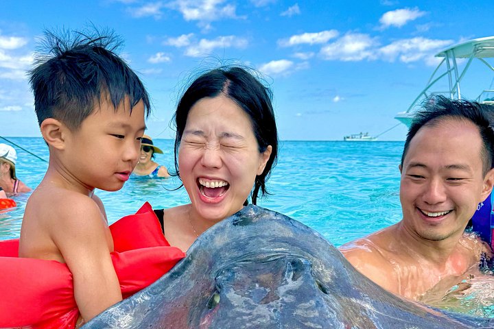 Fun Family 3 detiene la aventura StingrayCity