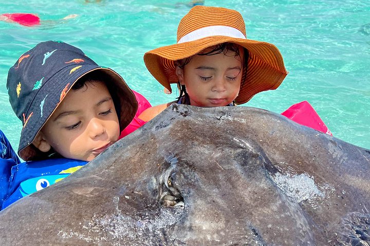 Fun Family 3 detiene la aventura StingrayCity