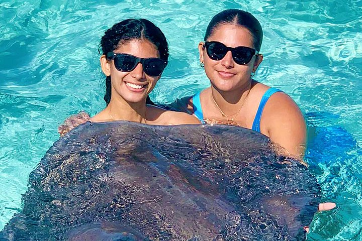 Fun Family 3 detiene la aventura StingrayCity