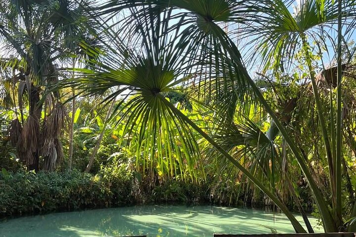 Viaggio di 3 giorni nel paradiso naturale di Jalapão