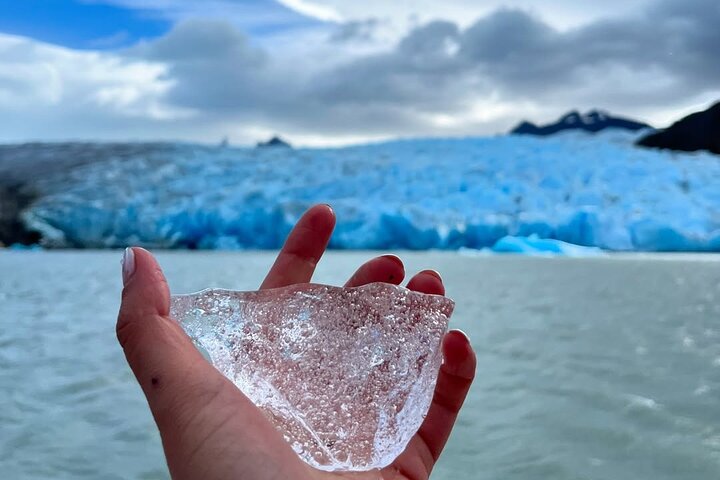 Croisière sur le glacier Grey avec prise en charge à Puerto Natales