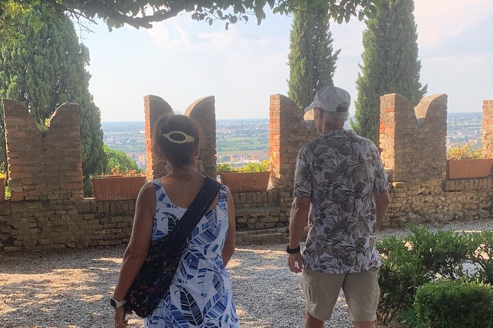 Tour privado todo incluido a Prosecco Hills - 2 bodegas y almuerzo.
