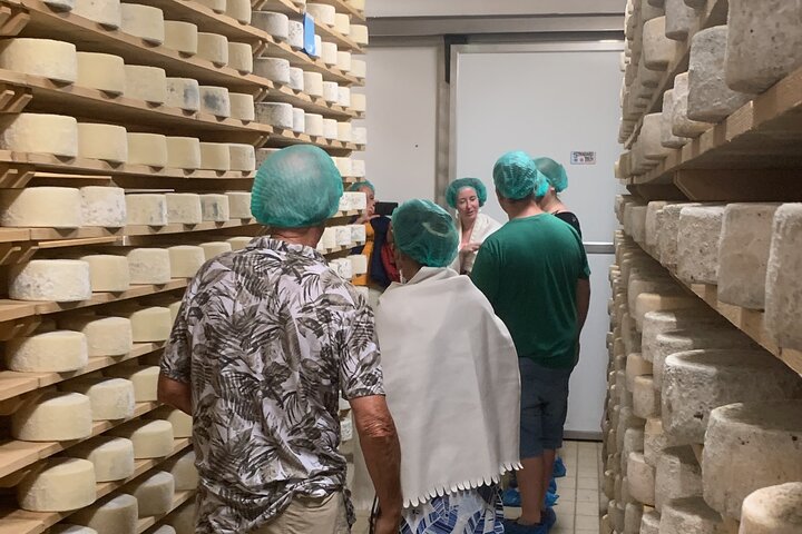 Tour privado todo incluido a Prosecco Hills - 2 bodegas y almuerzo.