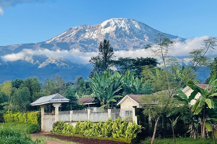 Tour del Kilimanjaro : Café, Cascada, Cuevas, almuerzo (Todo Incluido)
