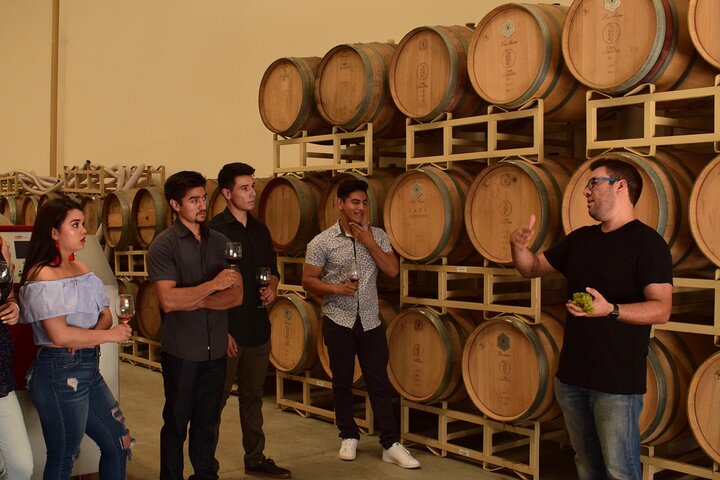Privé wijntour Valle de Guadalupe : alle wijnproeverijen inbegrepen