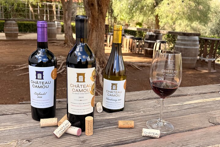 Privé wijntour Valle de Guadalupe : alle wijnproeverijen inbegrepen