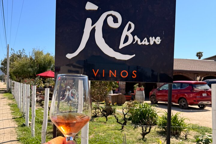Privé wijntour Valle de Guadalupe : alle wijnproeverijen inbegrepen