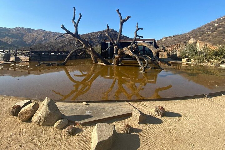 Privé wijntour Valle de Guadalupe : alle wijnproeverijen inbegrepen