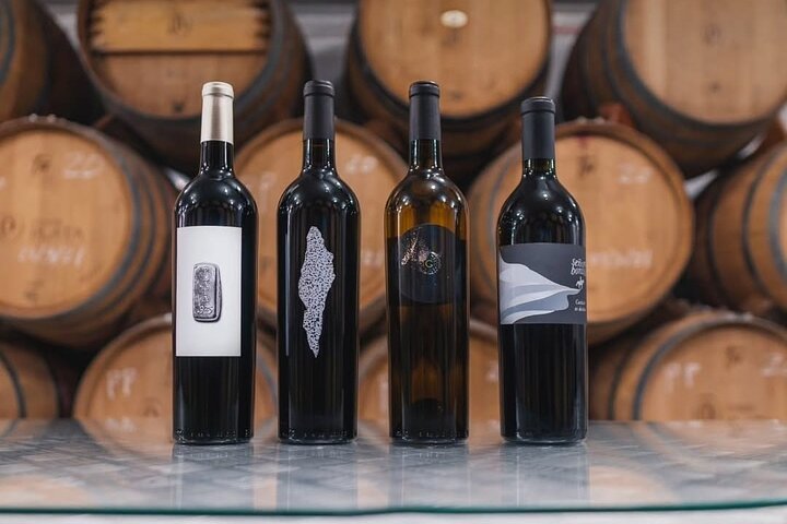 Privé wijntour Valle de Guadalupe : alle wijnproeverijen inbegrepen